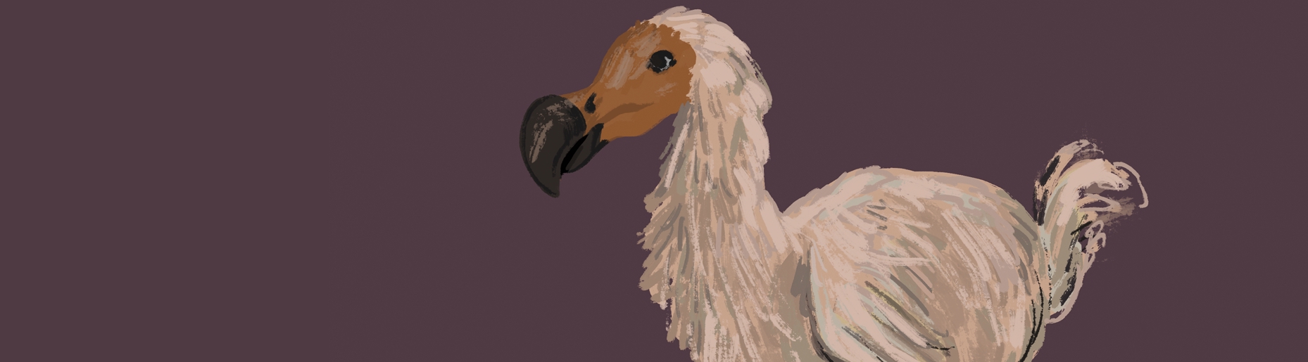 A brown background. A dodo bird stands peacefully in profile.