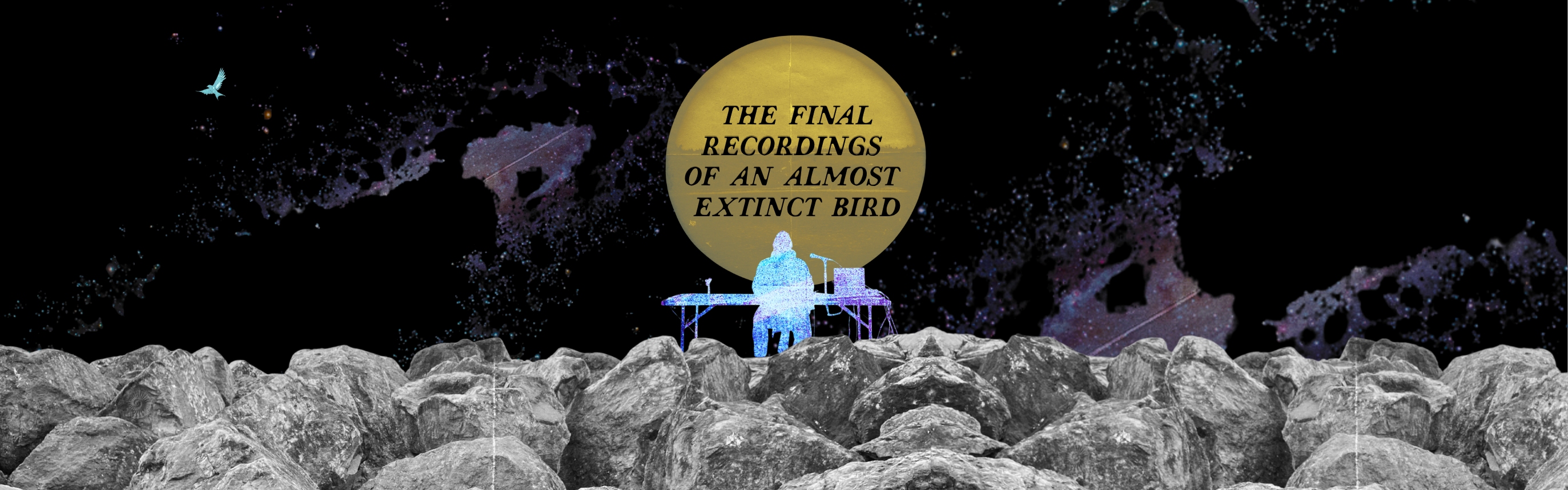a rocky foreground, a starry night background. a yellow circle floating above a static-ey outline of a person sitting at a table with a computer and microphone. in the yellow circle, the words "the final recordings of an almost extinct bird"